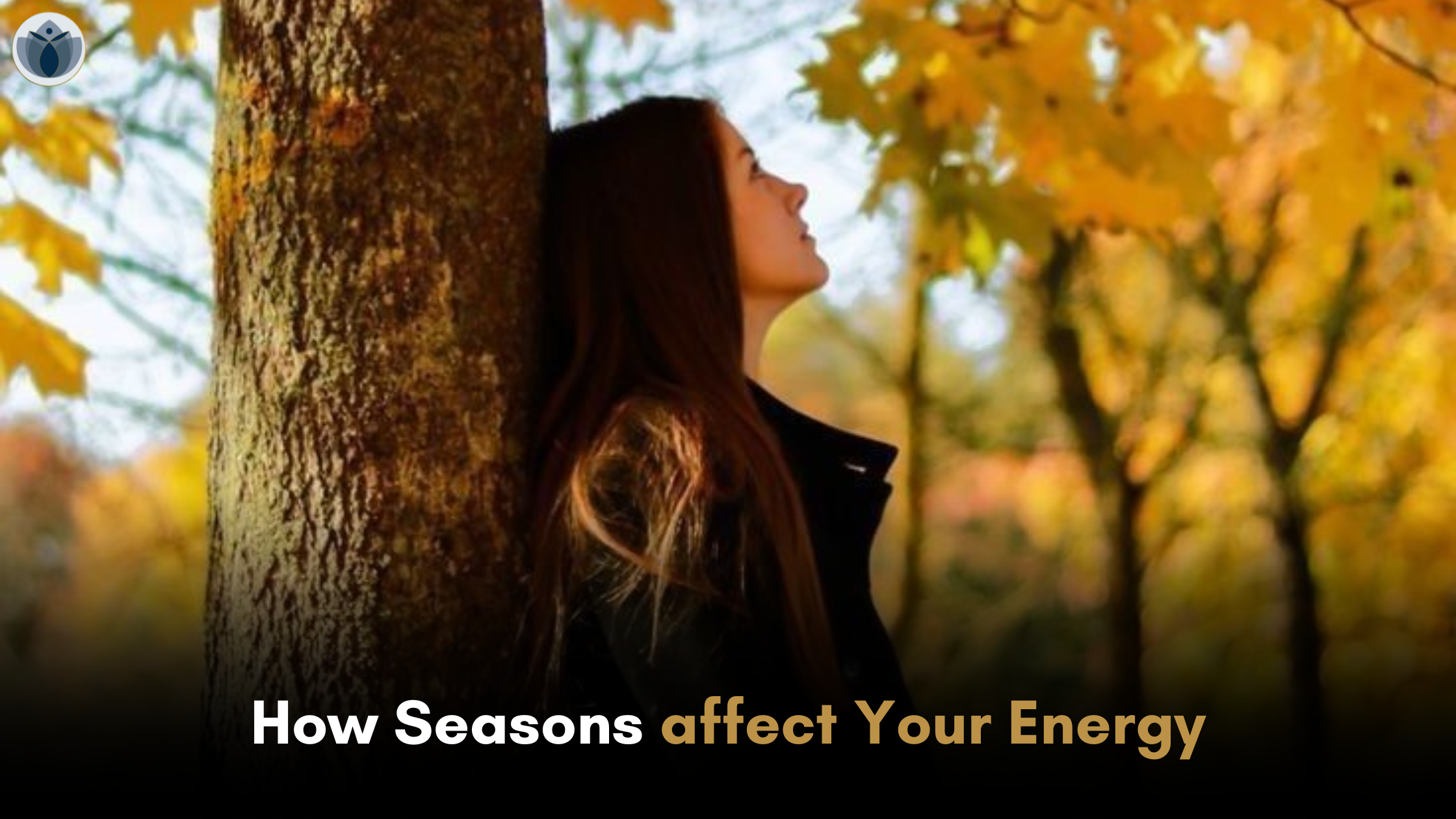 How Seasons affect Your Energy