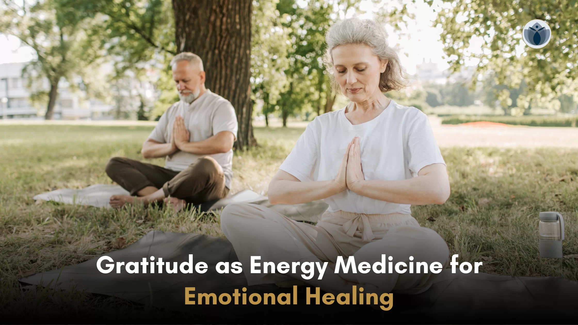 Gratitude as Energy Medicine for Emotional Healing